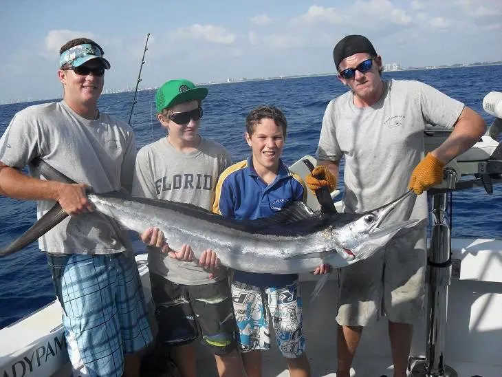 white marlin, fishing in florida