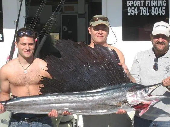 Sailfish, sportfishing fort lauderdale, florida