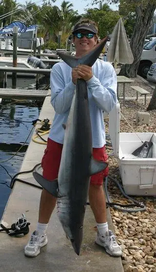 sport fishing mako shark - fort lauderdale florida usa