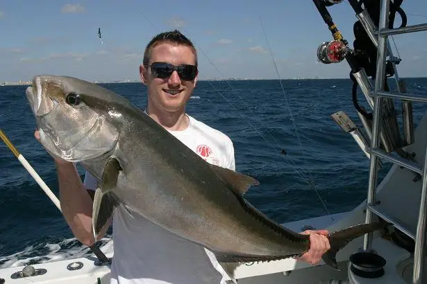 hooked an amberjack on bait number two