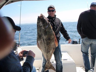 Some great halibut fishing has occurred inshore and offshore of Barkley Sound and Ucluelet. Guest Tyler of Red Deer fished with John of Slivers Charters Salmon sport fishing and picked up this 41 pound halibut on bait.