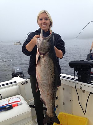 We are expecting the 2015 salmon season to be very good. Ashley landed this twenty-three pound Chinook in the Alberni Inlet using anchovy in a green haze teaser head.