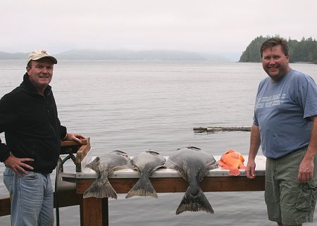 Steve and Ken with halibut.  Fished with guide John of Slivers Charters Salmon Sport Fishing.  Picture taken at Tyee Lodge  in Bamfield B.C.