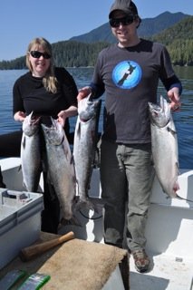 Migratory Chinook Salmon landed fishing in 125 feet of water near Swale Rock in Barkley Sound Vancouver Island. These fish were landed using a variety of hootchies and coyote spoons