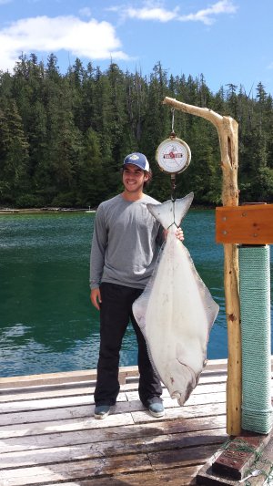 Great Halibut  landed by Chriss from Calgary who fished with his Dad out of Lodge.  Halibut was landed using a spreader bar