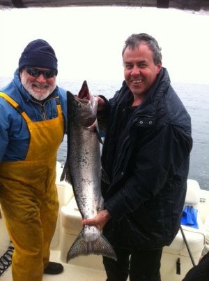Brent and John landed this Chinook salmon offshore Ucluelet at the inner southbank.  The fish hit a needle fish hootchie in 150 feet of water.  The salmon fishing this summer is expected to be the best in ten years.