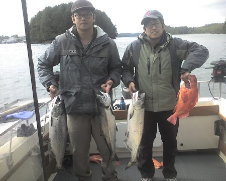 Jin and John from Pittsburgh show a few of their fish on a two day trip. These fish were caught out at the Rats Nose on a great June day.  The pair had a couple of Chinook on their second day just over 20 pounds.  These Chinook were 10 to 12 pounds.  All of the salmon were caught on a needlefish'hootchie