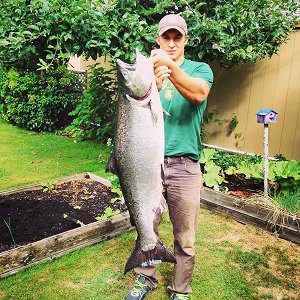 Robert of Slivers Charters Salmon Sport Fishing landed this thrity-four and a half pound Chinook using anchovy in the Alberni Inlet.  This fish was landed early in the season on Saturday August 16th