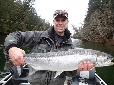 Winter Steelhead fishing in the Stamp River has been consistent.  Guest land this beauty using a pink worm