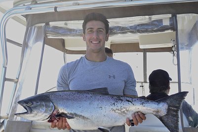 Chinook salmon in Barkley Sound 