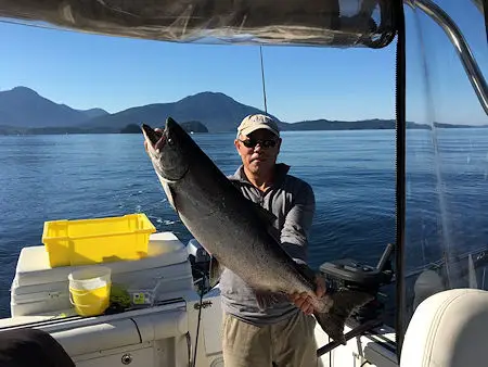 Fishing will be very good this July and August in Barkely Sound and the Alberni Inlet as good returns of Chinook are forecast