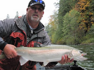 Guide Nick shows this chrome Fall Steelhead before putting it back into the water.  Picture of the Stamp River which has great Fall Steelhead fishing from October through early December