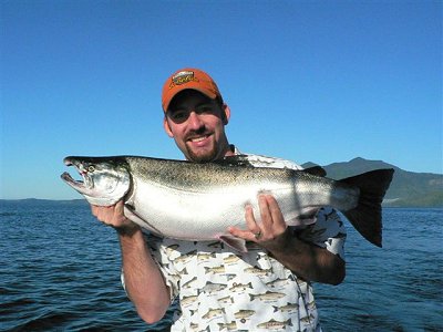 Tom Of Portland shows of this beautiful salmon he caught close to the Barkley Sound surf line   this fish was caught on a cop car coyote spoon.   Guide for Tom was Doug of Slivers Charters Salmon Sport Fishing