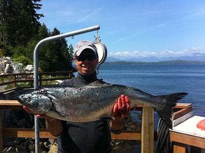 Doug of Slivers Charters Salmon Sport Fishing and twenty pound Chinook. Picture from Tyee Lodge in Bamfield B.C.  This Chinook landed using a green glow four inch coyote spoon.  Most guests stay in Beautiful Bamfield. Organize trips early....