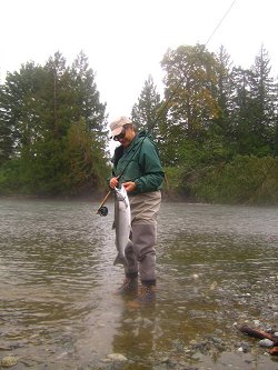 Marc of Victoria B.C. fished in the Stamp River which is close to Port Alberni B.C. in mid September and had a great day landing Chinook and Coho aboard a jet boat with guide Carey.