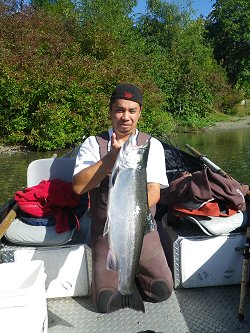 Great looking salmon landed in the Lower Stamp River using wool.  Fish landed by James of Victoria, B.C.