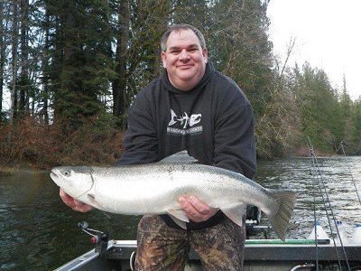 Chrome Winter Steelhead. Stamp River is getting very busy. Often easier to fish in a drift or jet boat than trying to walk te river.  Becomes even more difficult when water is high and fast.
