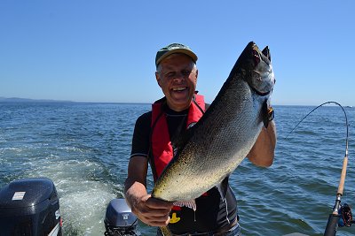 Some great Salmon fishing occurred n 2015 in Barkley Sound and just offshore Barkley Sound and Ucluelet.  John fished with Doug of Slivers Charters and landed this Chinook Salmon along the surf line.  We are looking forward to another fabulous season in 2016