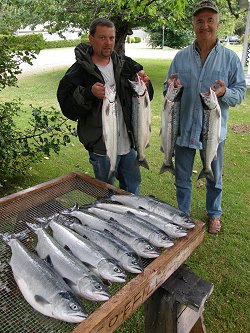 Captain Mel and guest show off their Sockeye catch in the Alberni Inlet.  The Sockeye Fishing in the Port Alberni Inlet has really picked up during the last few days and should prove to be another great year of summer fishing