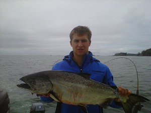 Robert of Slivers Charters Salmon Sport Fishing shows of his Chinook that he personally landed out on the surf line close to Austin Island and Meares Bluff.  The fish hit an anchoy in a green rhys davis teaser head...