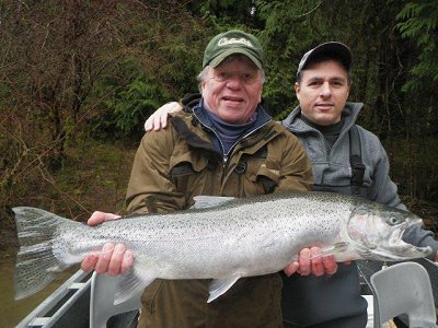 Bob and son Rick from Sooke B.C. had an eventful day on the Stamp River recently.  The Steelhead were in good numbers and very active.  The fishing took place in the Lower Stamp River close to Port Alberni, B.C.  This fish was landed using bait (roe bags).