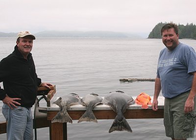 Halibut fishing for the first part of the 2014 fishing season has been good.   Steve and Ken from Kansas fished with Slivers Charters Salmon Sport Fishing and had a great time fishing on a salmon-halibut combo trip.   Picture is looking over Barkley Sound.