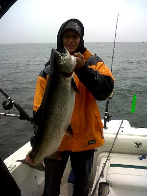 This Thirty pound Chinook Salmon was landed on the Surf line of Barkley Sound.  2014 is looking like one of the best season in past decades.  The migratory flow to the Columbia River alone is 1.6 million Chinook swimming down the west coast of Vancouver Island.  Robert is shown in this picture and land this Chinook using bait in an anchovy Rhys Davis Teaser Head  