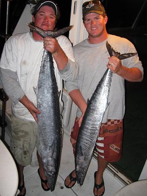 wahoo, king mackerel