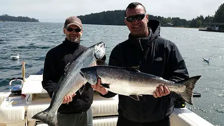 These salmon were landed on lighthouse bank and long beach.   Guide Alan had guests using needle fish hootchies