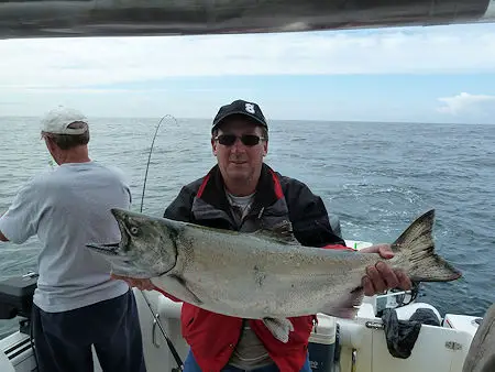 Harry of Langley British Columbia shows his Chinook Salmon landed in Barkley Sound Vancouver Island. This fish was landed in June.  June I often a favorable month in Barkley Sound and offshore.  Big schools of Chinook are headed towards the big watersheds to the south.  They stop to feed on the rich sources of bait fish along the coast line of West Coast Vancouver Island. This salmon hit a green nickel coyote spoon in 90 feet of water