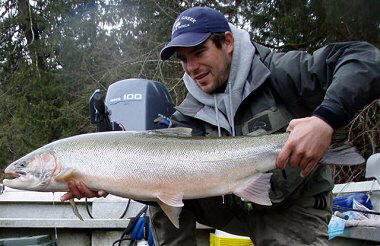Guide Kevin displays this beatiful steelhead caught on the Stamp River located just outside Port Alberni Vancouver Island B.C.