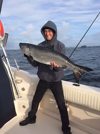 Philippe landed this twenty pound Chinook using a needle fish hootchie.  Trip was in early May 2016 out of the Ucluelet Harbor 