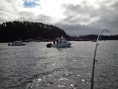 Two of our inshore Barkley Sound boats along the Bamfield Wall