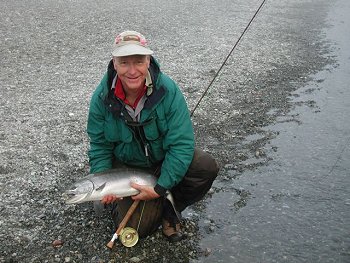 This beautiful Coho was picked up by guest on the Stamp River.  Guide was David.  Coho fishing on the Stamp has been wonderful as returns have been very high.