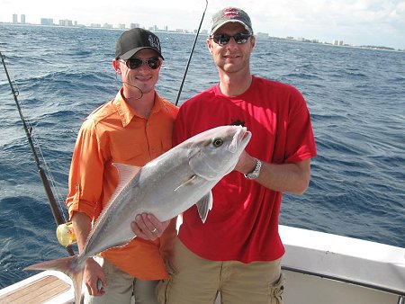 Amberjack