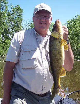 walleye