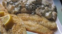 Basa Catfish 