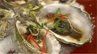 Steamed Oysters in oyster sauce