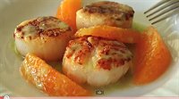 Seared Scallops with Jalapeno Vinaigrette and Orange Supremes