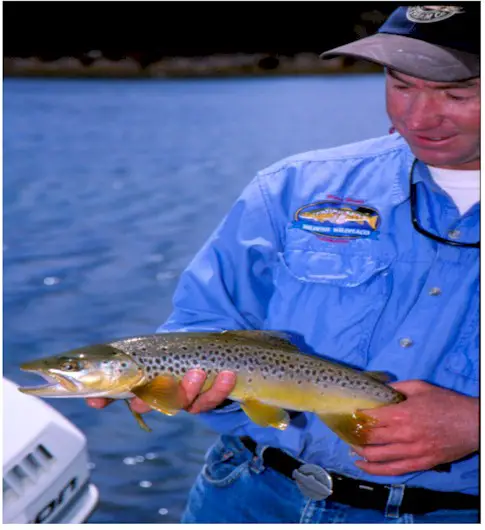 Peter Hayes Brown Trout, Tasmania Australia