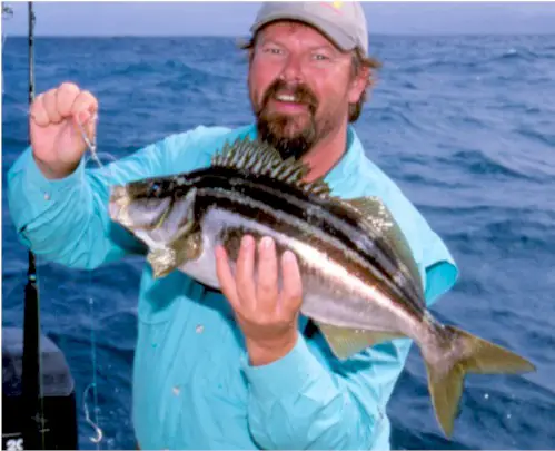 Steve Starling Tasmanian Trumpeter