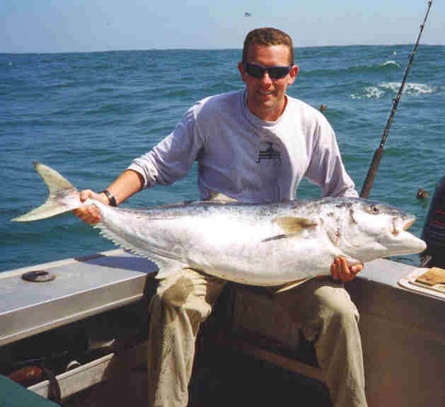 Mike Finlayson - 40+ kg yellowtail kingfish Tolga Bay New Zealand