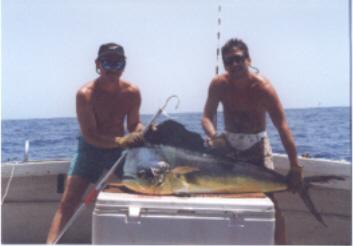 dorado1 - 45lb Dorado (Mahi Mahi) 