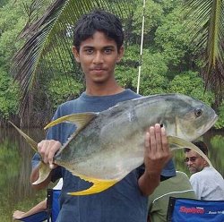 I caught this 13lb jack crevalle at the river mouth in manzanilla bay on 15/05/05. That fish was a bit greedy because he first took a live mullet off of my cousin's rod (Riaaz Mohammed) and 5 seconds after took mine and in the process snapped the hook from my cousin's rod, (who by the way wasn't pleased about that at all). Almost a double hookup!