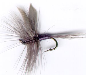 Blue Dun Dry fly pattern