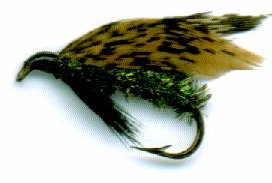 alder wet fishing fly