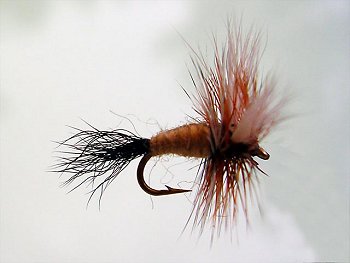ausable wulff dry fishing fly trout freshwater