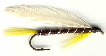 black ghost fishing fly