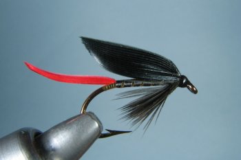 black prince wet fishing fly