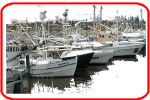 Marine Services - Marine Surveyors, Marine Insurance, Marine Enginerrs, Boating Equipment, Moorings...